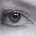 Free Download: Eye